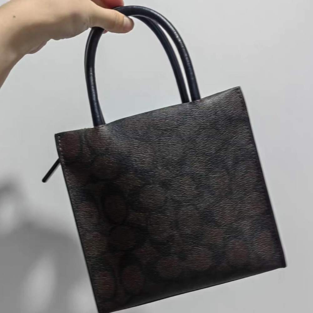 Coach Brown-Black Bag - Picture 2 of 6